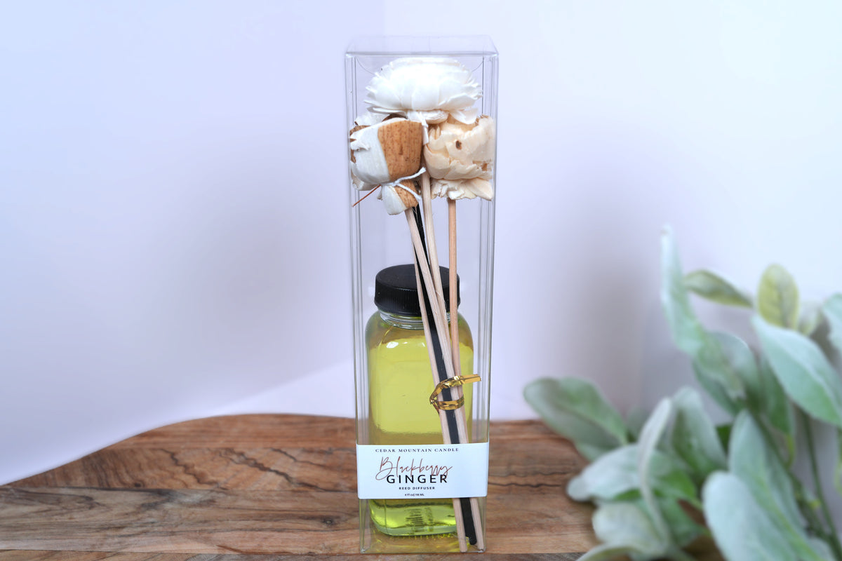 Blackberry Ginger Reed Diffuser | Skinderella
