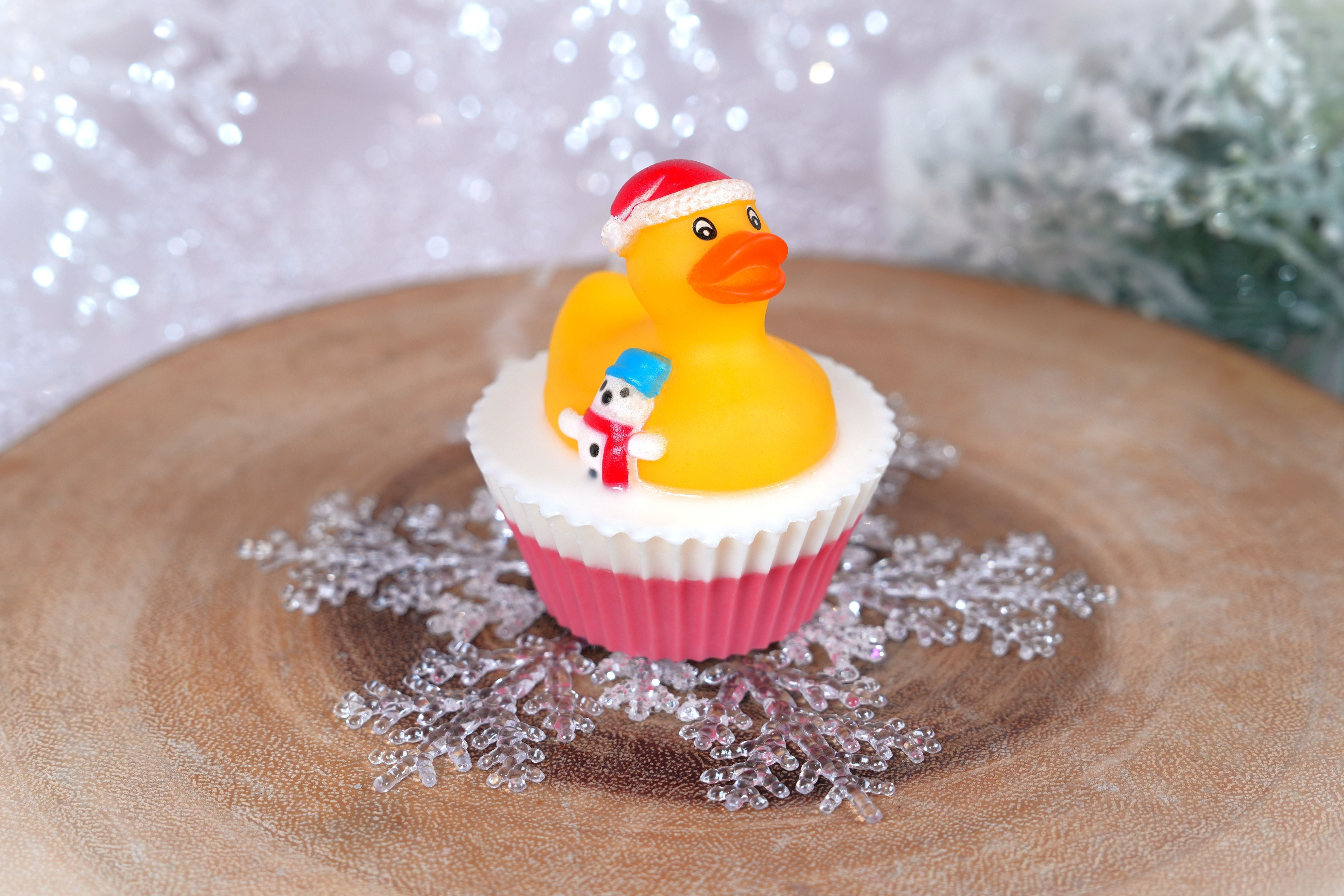 Christmas Duck